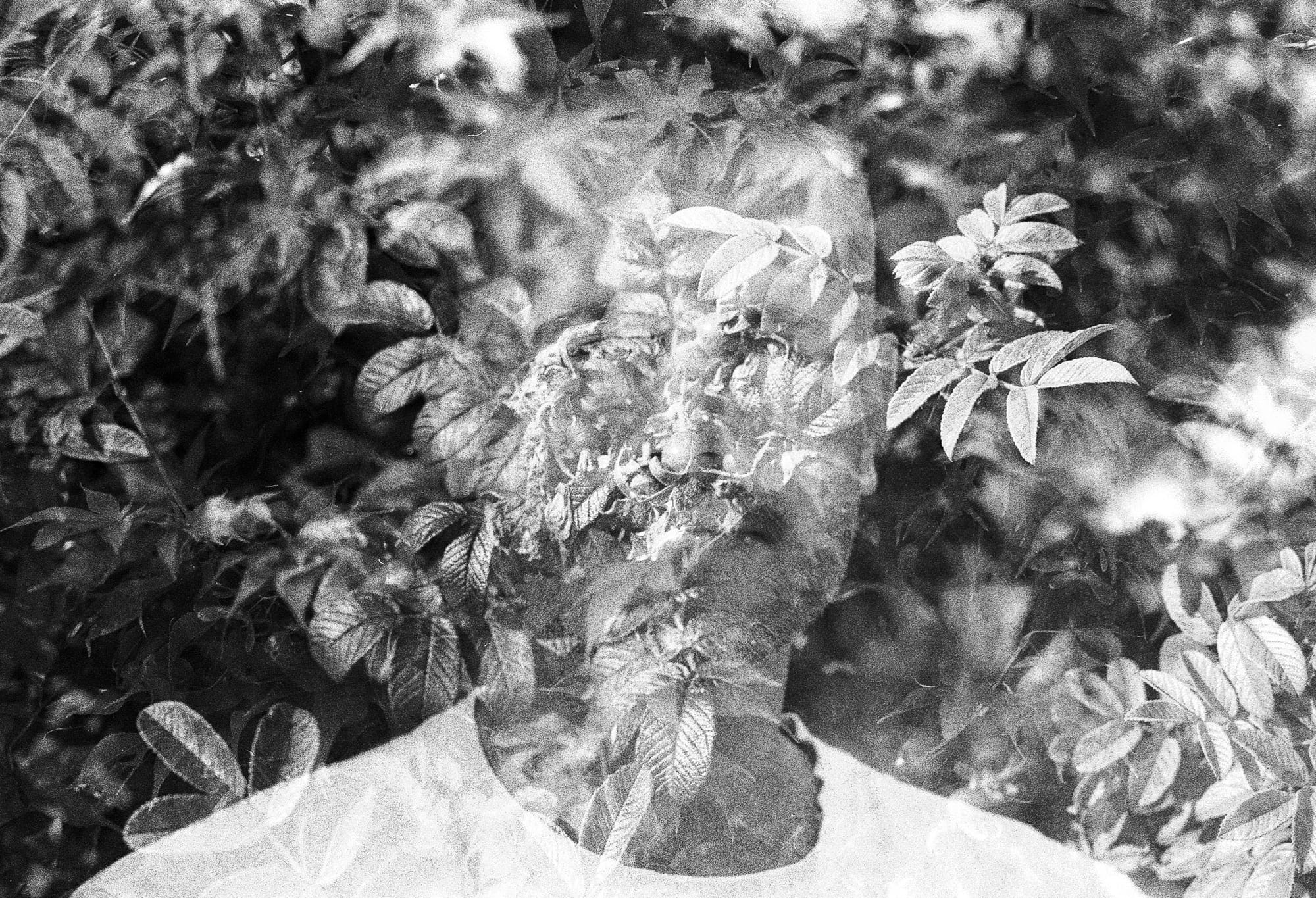 Learning to Develop Film at Home: My First Rolls